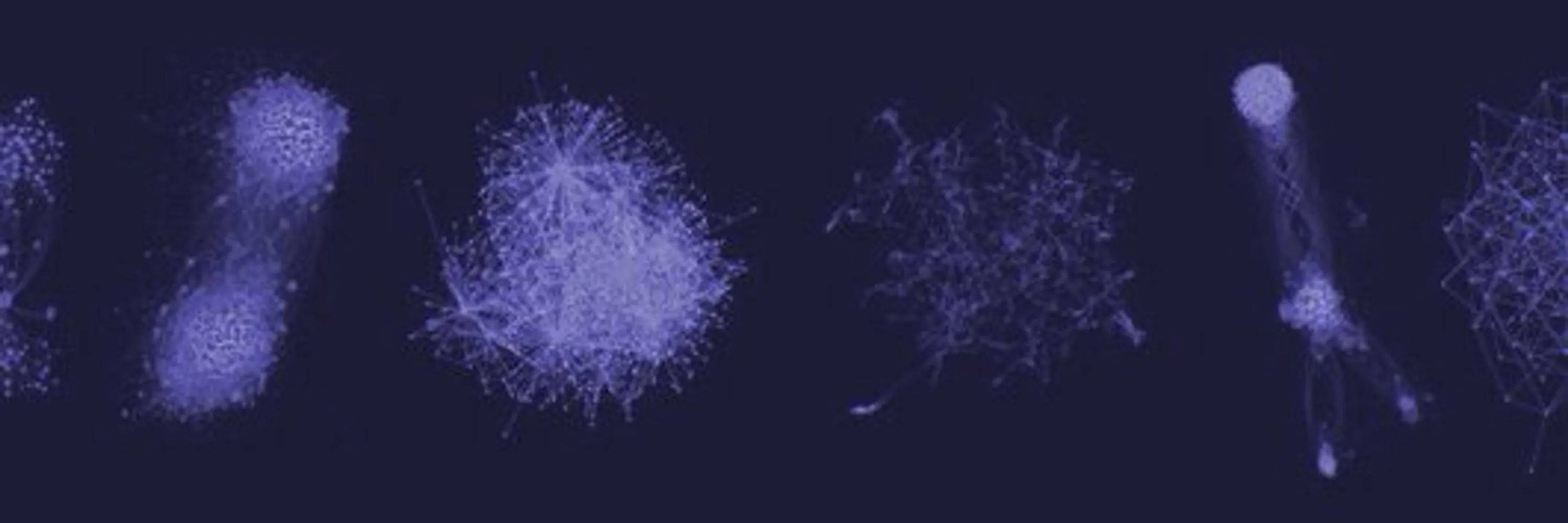 Network visualizations